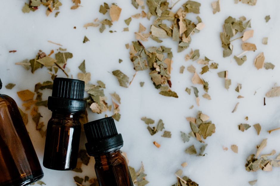 Beechnut Oil: A Forgotten Forest Fat Worth Rediscovering