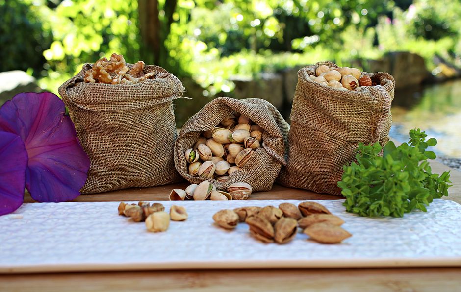 Hickory Nuts, Black Walnuts, and Beechnuts: A Forest Nut Comparison